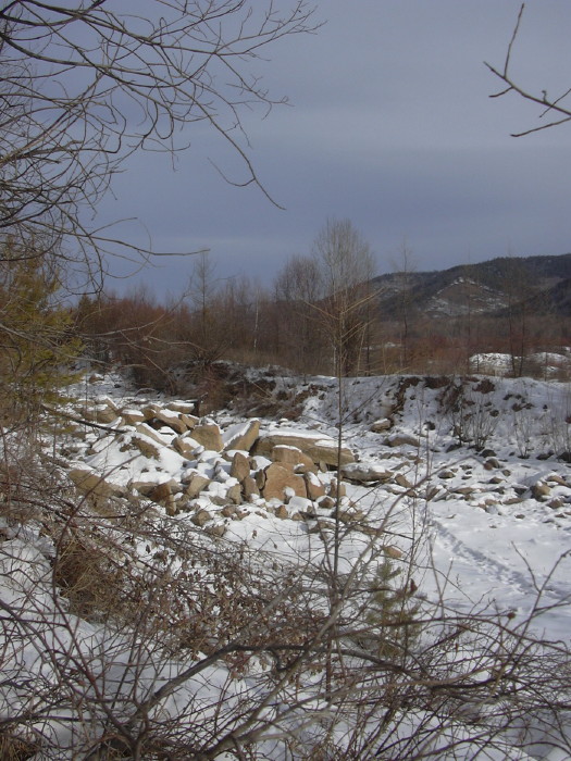 � �������� ������ ������� � ������ - ������ ���������� � ����������-����� 2005