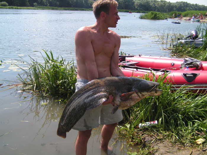 a_pict0427.jpg - ������ ���������� �� ������� ��� ���������� ����� 2006