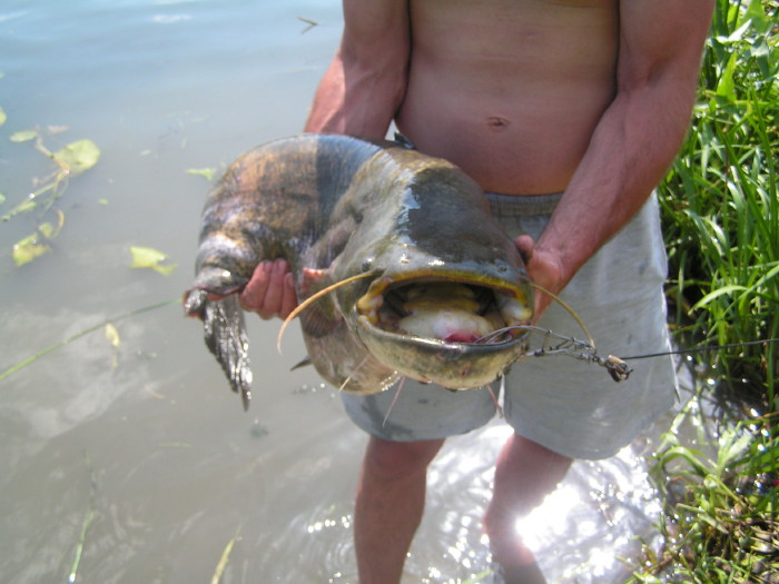 a_pict0428.jpg - ������ ���������� �� ������� ��� ���������� ����� 2006