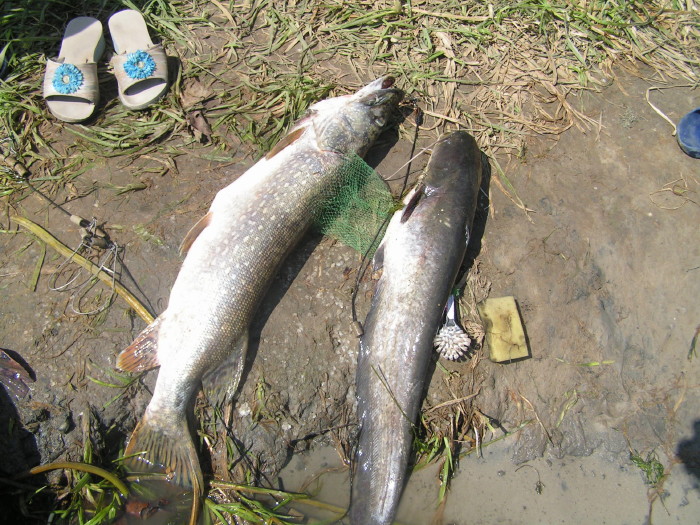 a_pict0433.jpg - ������ ���������� �� ������� ��� ���������� ����� 2006