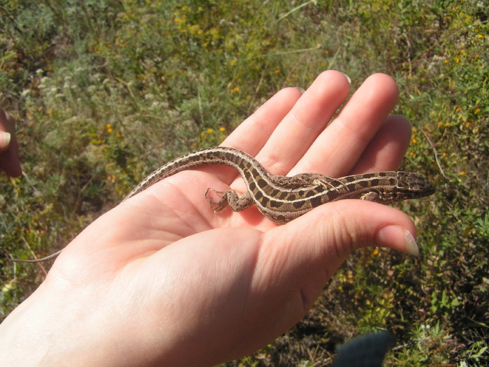 a_pict0536.jpg - ������ ���������� �� ������� ��� ���������� ����� 2006