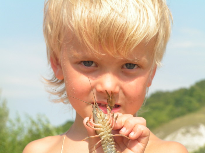 a_pict0917.jpg - ������ ���������� �� ������� ��� ���������� ����� 2006