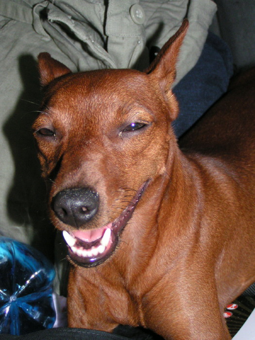 m_pict0349.jpg - ������ ���������� �� ������� ��� ���������� ����� 2006