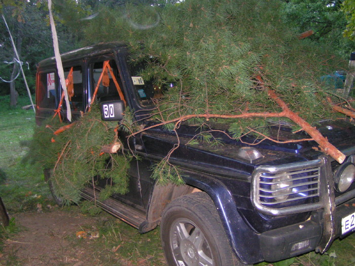 m_pict0709.jpg - ������ ���������� �� ������� ��� ���������� ����� 2006