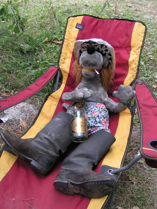 m_pict0750.jpg - ������ ���������� �� ������� ��� ���������� ����� 2006