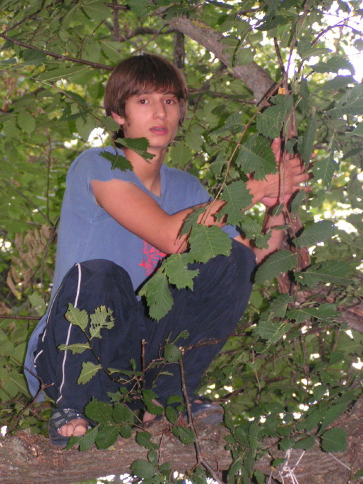 m_pict0753.jpg - ������ ���������� �� ������� ��� ���������� ����� 2006