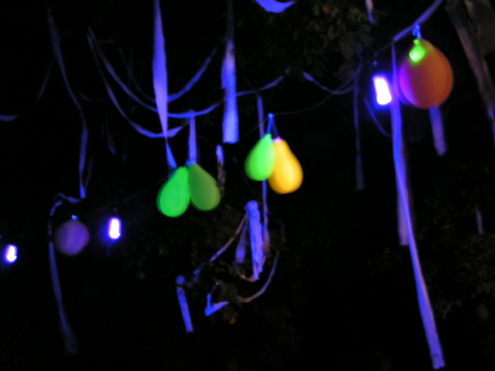 m_pict0930.jpg - ������ ���������� �� ������� ��� ���������� ����� 2006