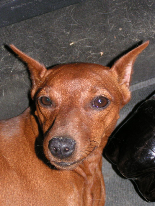 m_pict1012.jpg - ������ ���������� �� ������� ��� ���������� ����� 2006