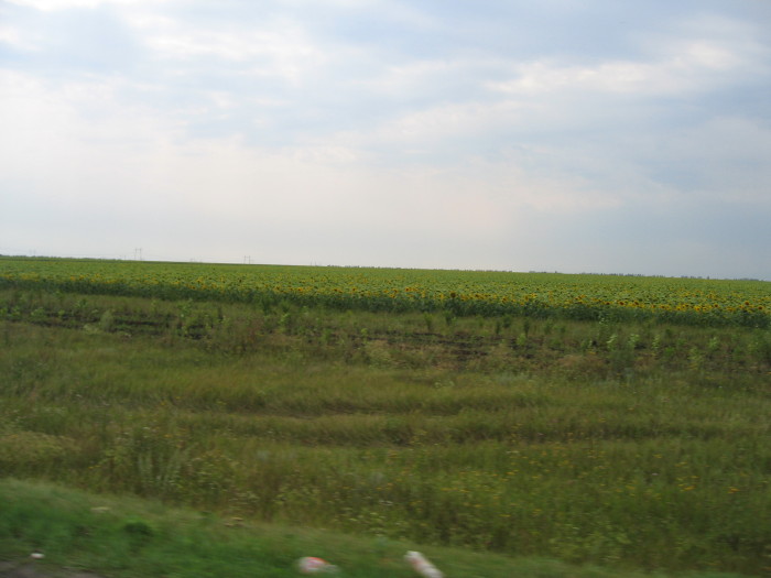 s_img_8031.jpg - ������ ���������� �� ������� ��� ���������� ����� 2006