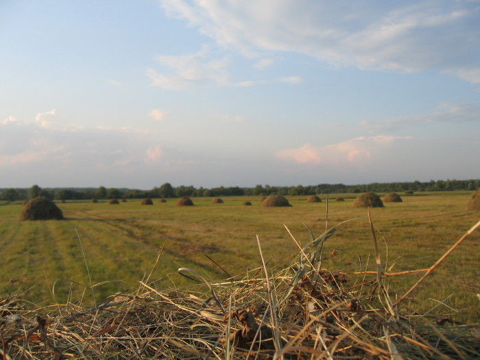 s_img_8055.jpg - ������ ���������� �� ������� ��� ���������� ����� 2006