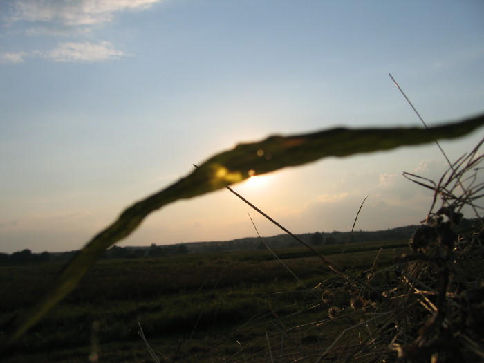 s_img_8059.jpg - ������ ���������� �� ������� ��� ���������� ����� 2006