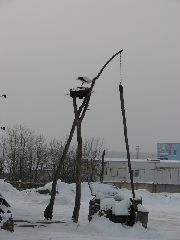 IMG_2798.jpg - ������ ���������� � ����������� ����� ������