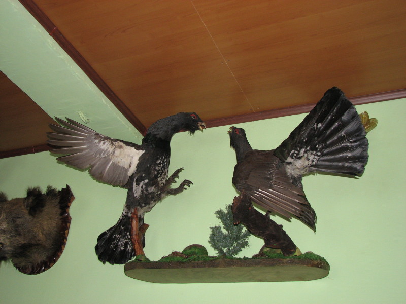 IMG_2868.jpg - ������ ���������� � ����������� ����� ������