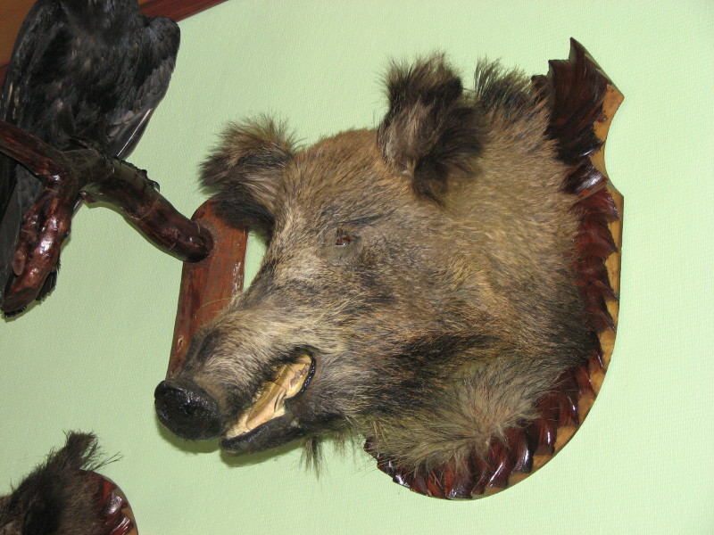 IMG_2869.jpg - ������ ���������� � ����������� ����� ������