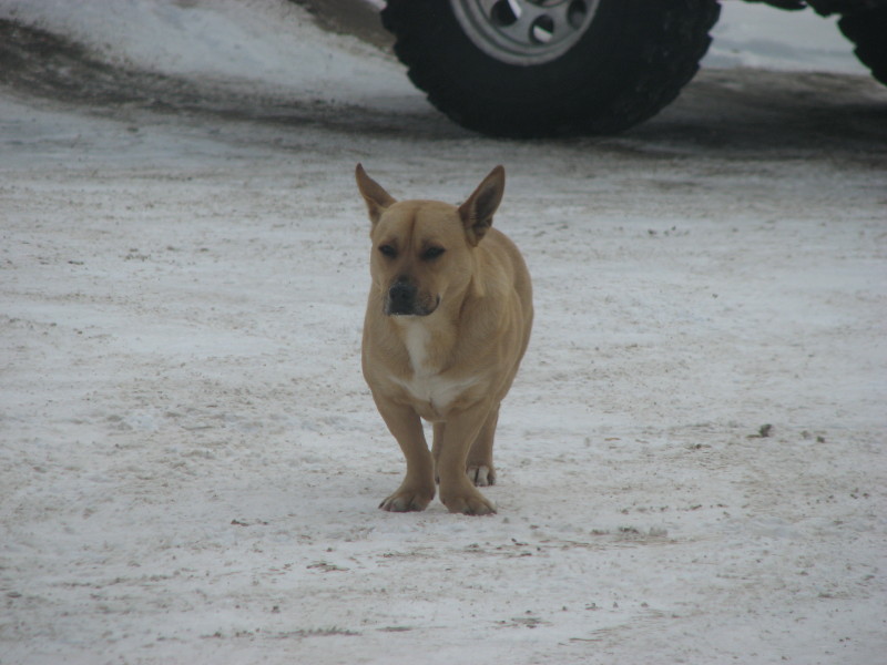 IMG_2891.jpg - ������ ���������� � ����������� ����� ������