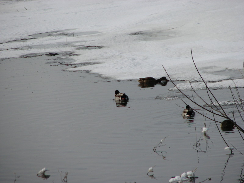 IMG_2935.jpg - ������ ���������� � ����������� ����� ������