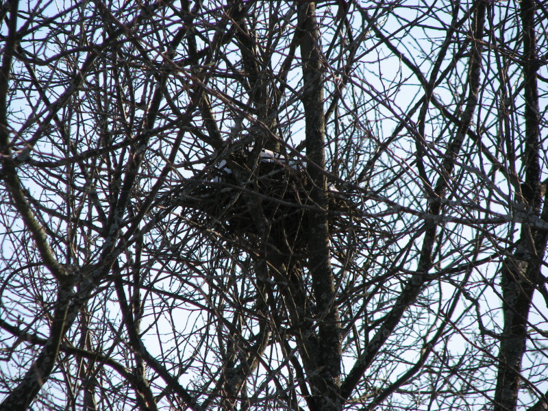 IMG_2993.jpg - ������ ���������� � ����������� ����� ������