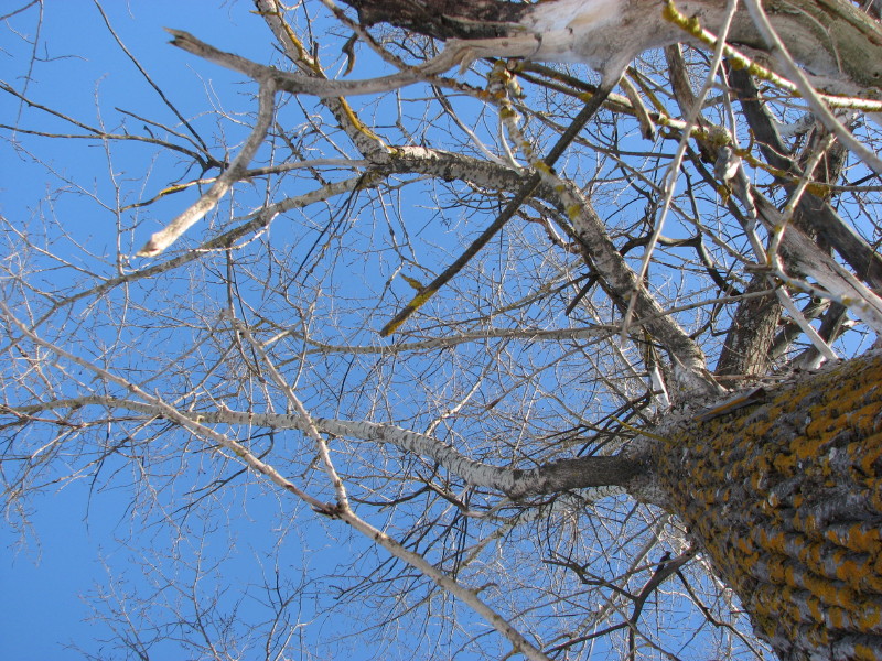 IMG_3004.jpg - ������ ���������� � ����������� ����� ������