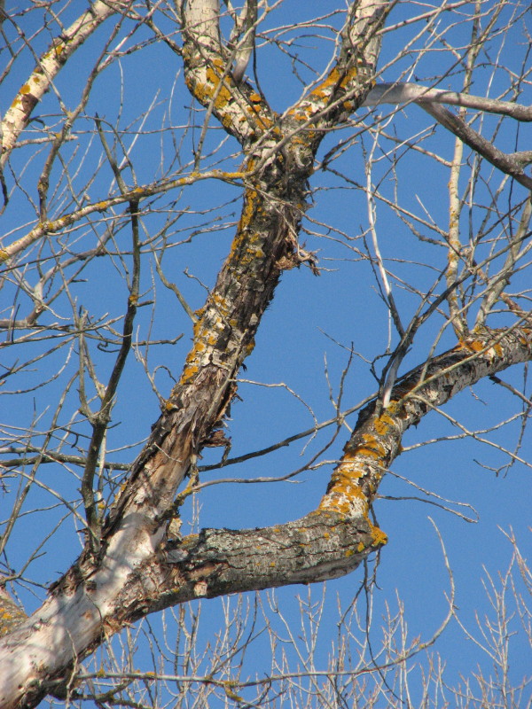 IMG_3030.jpg - ������ ���������� � ����������� ����� ������