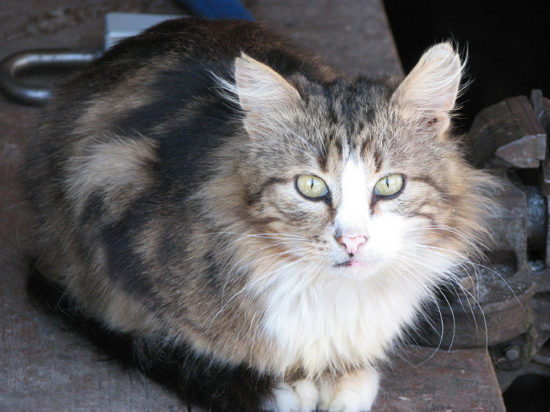 IMG_3078.jpg - ������ ���������� � ����������� ����� ������