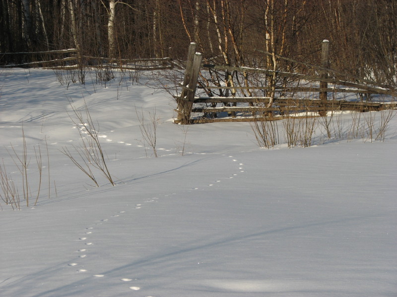 IMG_3137.jpg - ������ ���������� � ����������� ����� ������