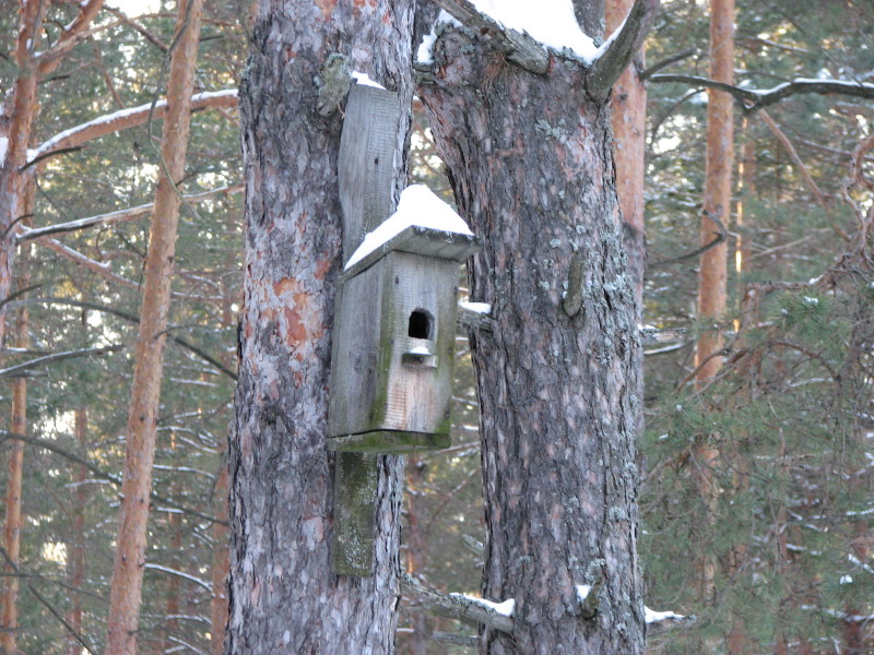 IMG_3145.jpg - ������ ���������� � ����������� ����� ������