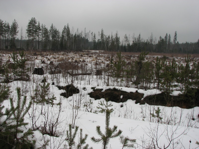 ���� ����� ���... � ������ ��������? - ������ ���������� �� CrazyShturman (�����'07)