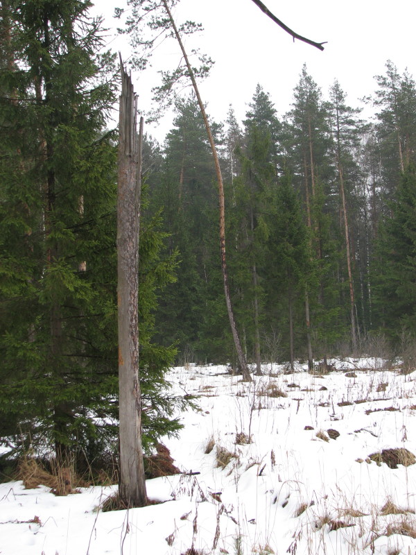 IMG_3301.JPG - ������ ���������� �� CrazyShturman (�����'07)