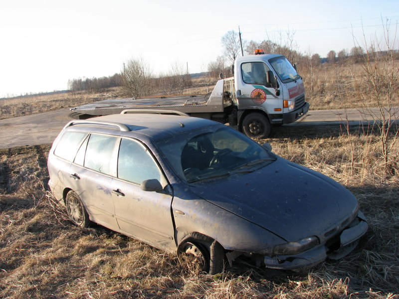 IMG_3377.jpg - ���� ������