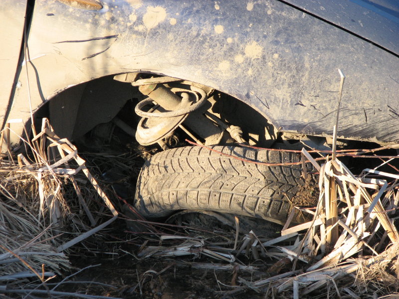 IMG_3387.jpg - ���� ������