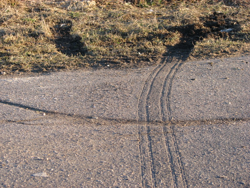 IMG_3395.jpg - ���� ������