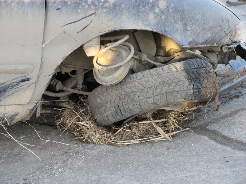 IMG_3397.jpg - ���� ������