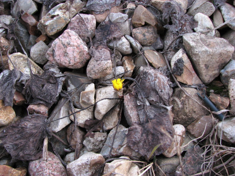 IMG_3427.jpg - ���� ������