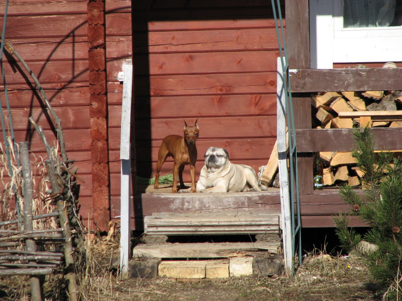 IMG_3467.jpg - ���� ������