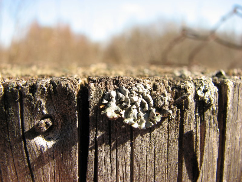 IMG_3478.jpg - ���� ������