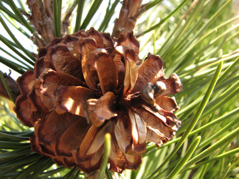 IMG_3481.jpg - ���� ������