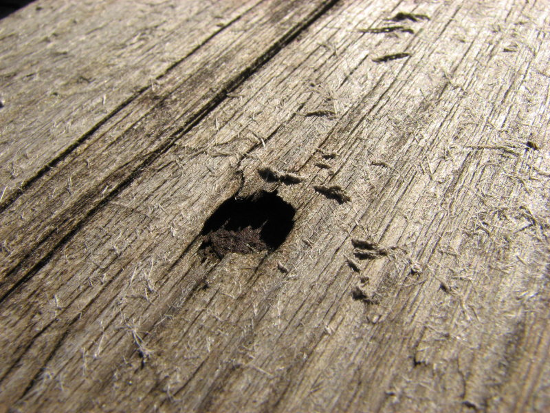 IMG_3490.jpg - ���� ������