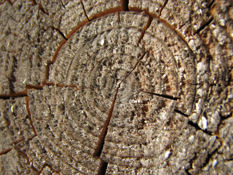 IMG_3497.jpg - ���� ������