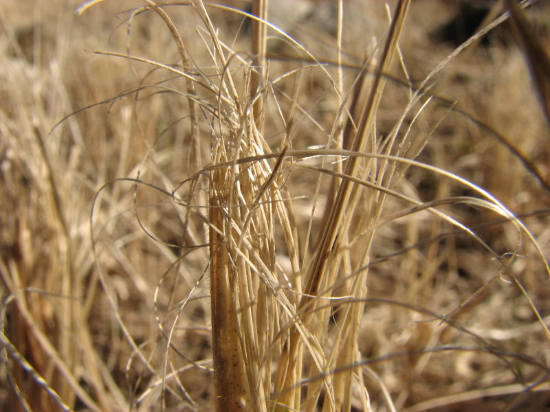 IMG_3508.jpg - ���� ������