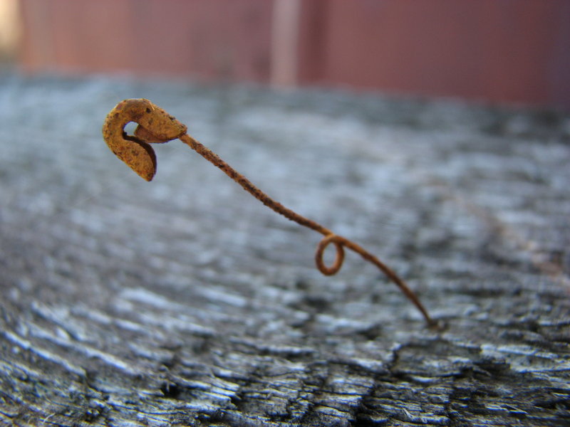 IMG_3514.jpg - ���� ������