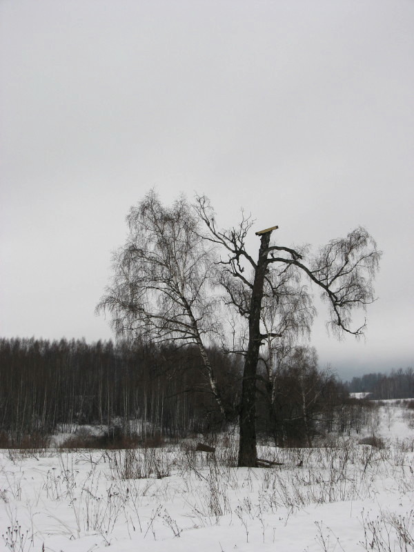 IMG_3227.jpg - ������ ���������� �� ������������ ������� ����������