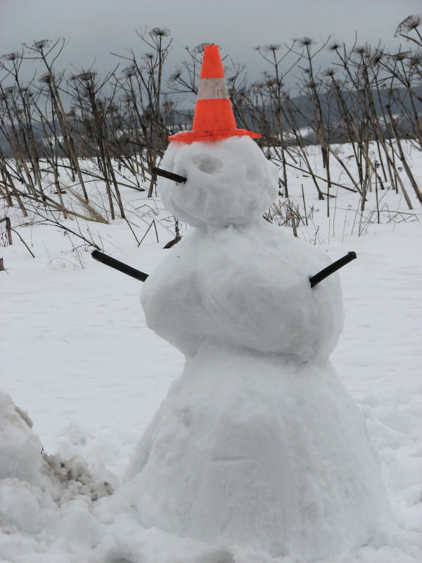 IMG_3232.jpg - ������ ���������� �� ������������ ������� ����������