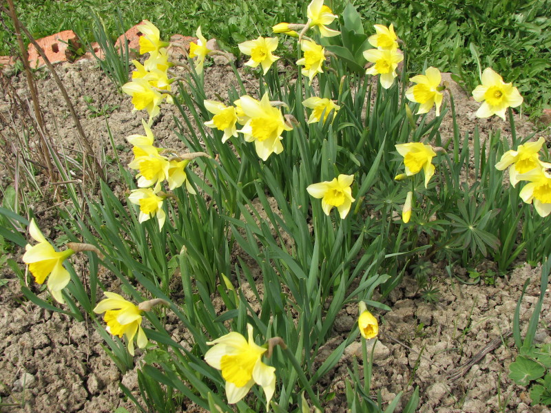 IMG_3550.jpg - ����� ����������