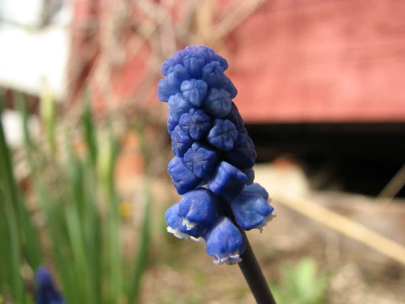 IMG_3555.jpg - ����� ����������