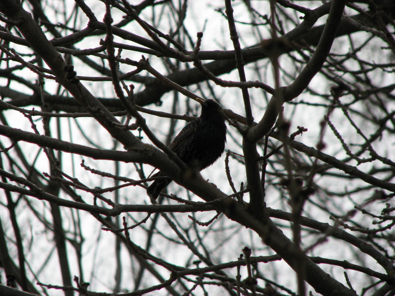 IMG_3562.jpg - ����� ����������