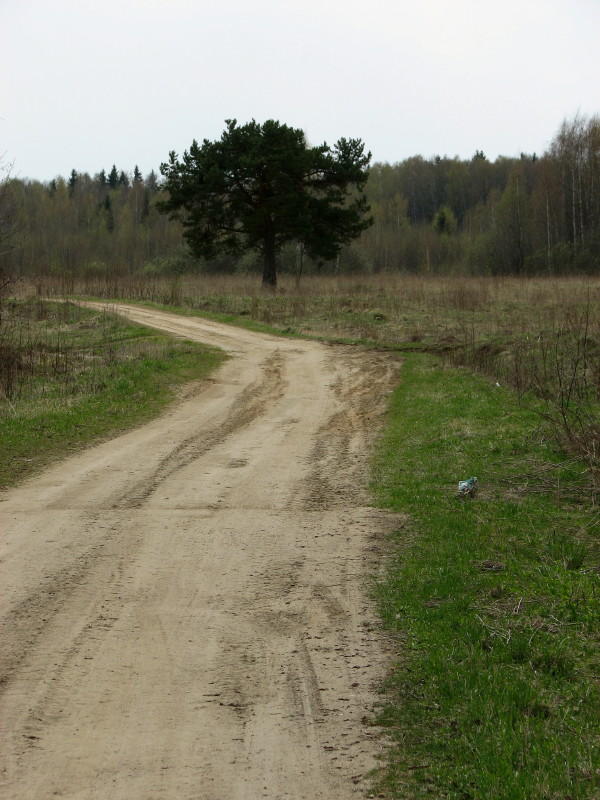 IMG_3563.jpg - ����� ����������