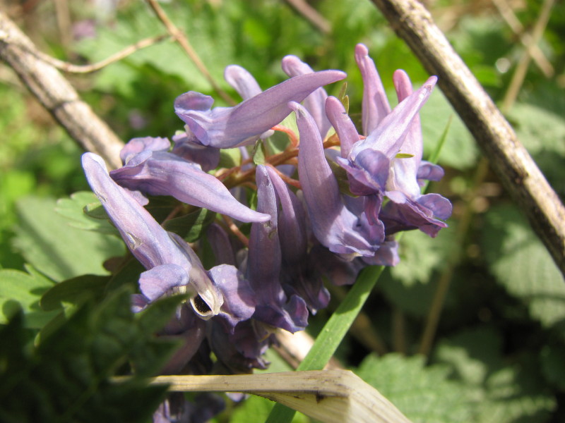 IMG_3587.jpg - ����� ����������