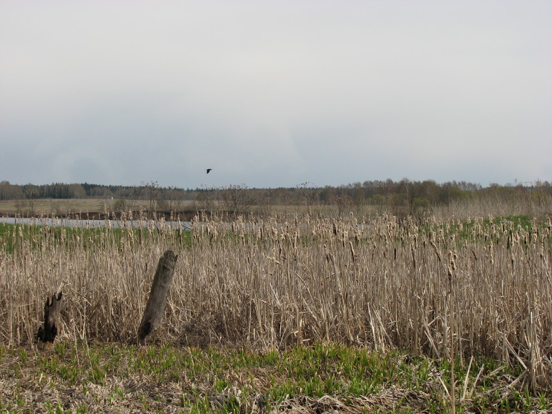 IMG_3590.jpg - ����� ����������