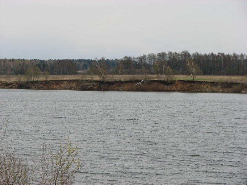 IMG_3595.jpg - ����� ����������