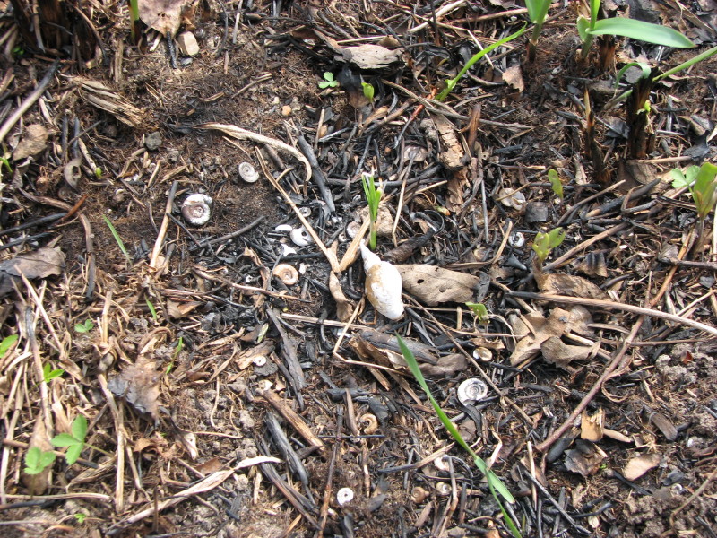 IMG_3615.jpg - ����� ����������